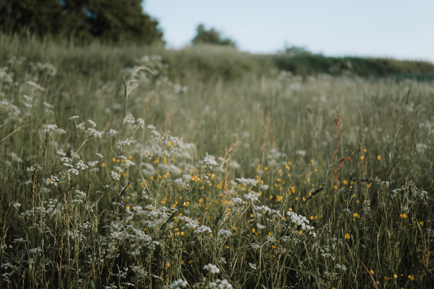Ganzheitliche Medizin